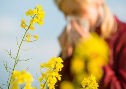 alergia primaveral