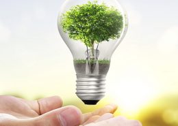 estalviar energia aquesta primavera