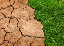 Cambio climático