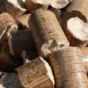 Pellets Cast