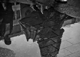 Recogida-agua-lluvia