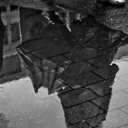 Recollida-aigua-pluja