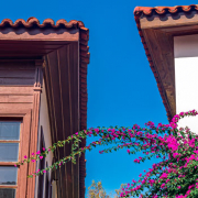 Vegetació-exterior